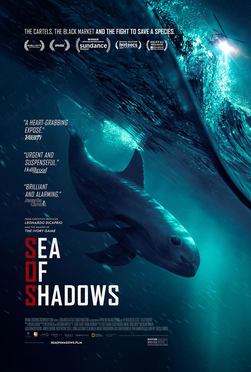 Protected: Sea Of Shadows