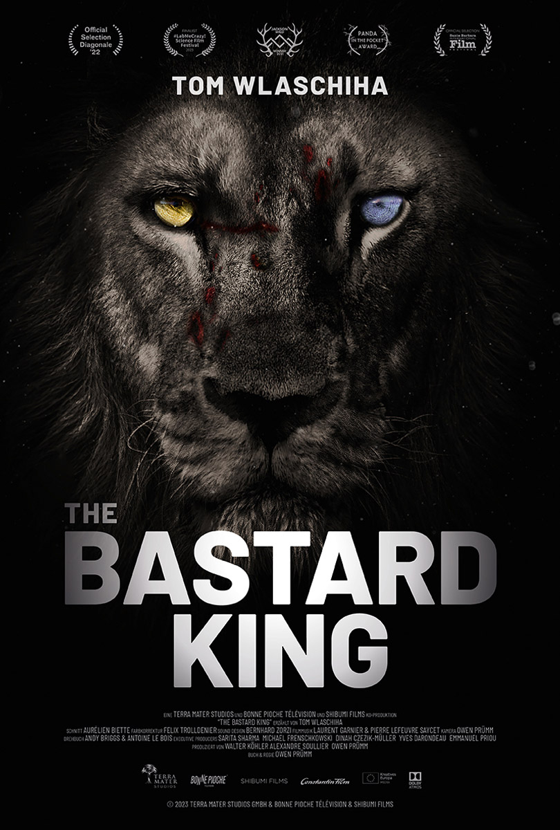 Protected: The Bastard King